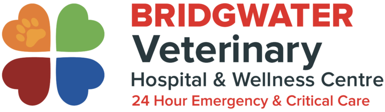 Logo of Bridgwater Veterinary Hospital & Wellness Centre in Winnipeg, Manitoba