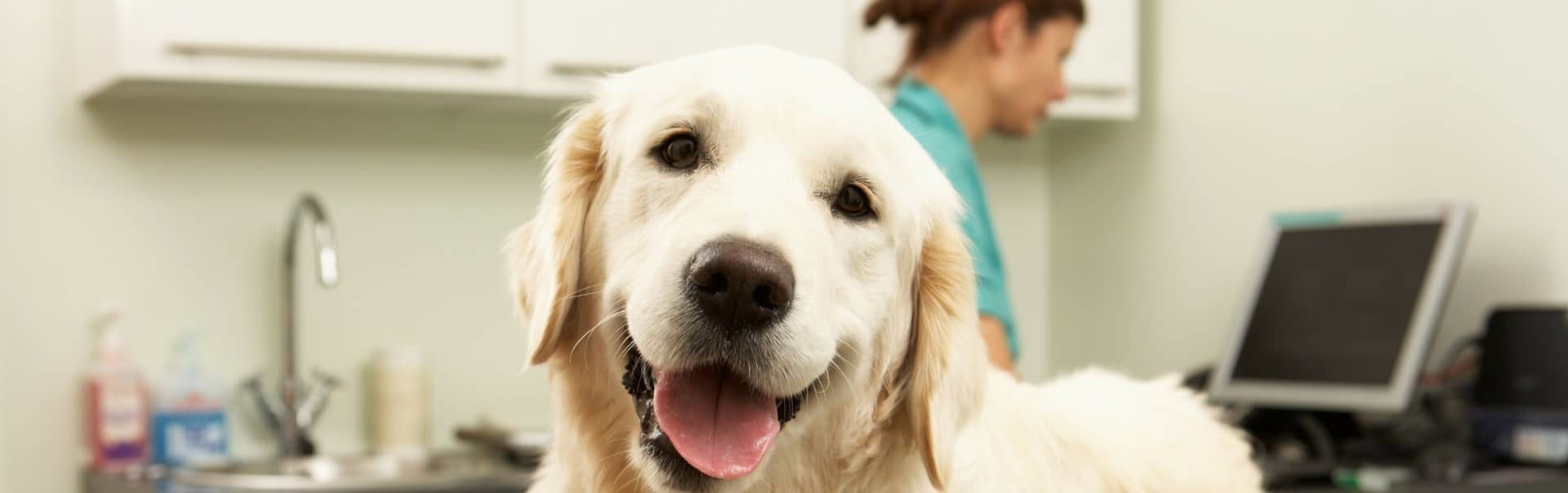 Veterinary Diagnostics Services